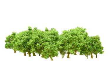 Beyaz arka planda yeşil ağaçlar. 3D görüntüleme. Doğa