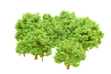 Beyaz arka planda yeşil ağaçlar. 3D görüntüleme. Doğa