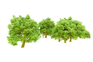 Beyaz arka planda yeşil ağaçlar. 3D görüntüleme. Doğa