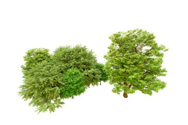 Beyaz arka planda yeşil ağaçlar. 3D görüntüleme. Doğa