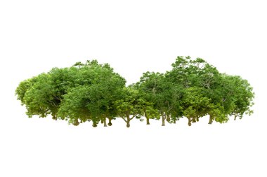 Beyaz arka planda yeşil ağaçlar. 3D görüntüleme. Doğa