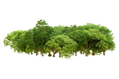 Beyaz arka planda yeşil ağaçlar. 3D görüntüleme. Doğa