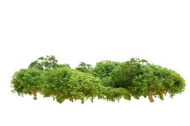 Beyaz arka planda yeşil ağaçlar. 3D görüntüleme. Doğa