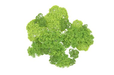 Beyaz arka planda yeşil ağaçlar. 3D görüntüleme. Doğa