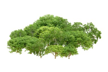 Beyaz arka planda yeşil ağaçlar. 3D görüntüleme. Doğa