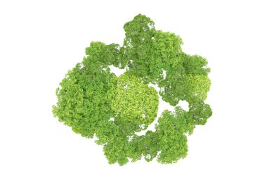 Beyaz arka planda yeşil ağaçlar. 3D görüntüleme. Doğa