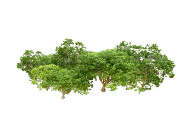 Beyaz arka planda yeşil ağaçlar. 3D görüntüleme. Doğa