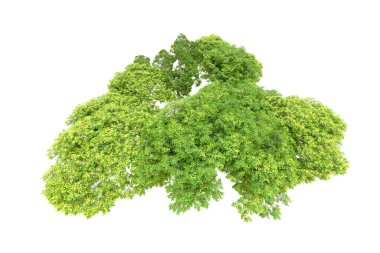 Beyaz arka planda yeşil ağaçlar. 3D görüntüleme. Doğa