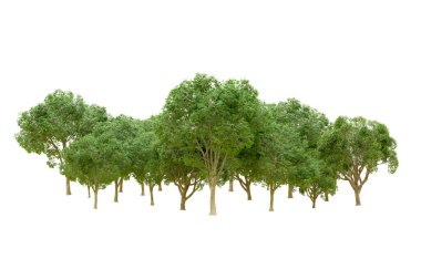 Beyaz arka planda yeşil ağaçlar. 3D görüntüleme. Doğa