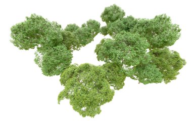 Beyaz arka planda yeşil ağaçlar. 3D görüntüleme. Doğa