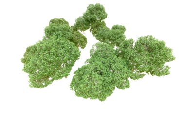 Beyaz arka planda yeşil ağaçlar. 3D görüntüleme. Doğa