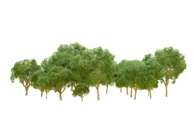 Beyaz arka planda yeşil ağaçlar. 3D görüntüleme. Doğa