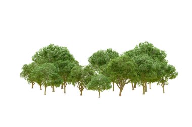 Beyaz arka planda yeşil ağaçlar. 3D görüntüleme. Doğa