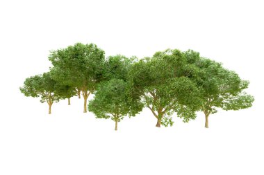 Beyaz arka planda yeşil ağaçlar. 3D görüntüleme. Doğa