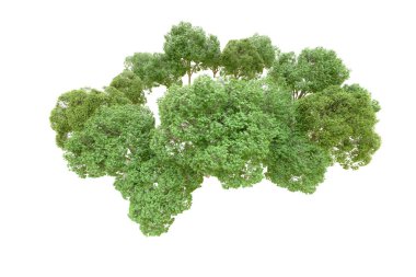 Beyaz arka planda yeşil ağaçlar. 3D görüntüleme. Doğa