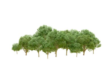 Beyaz arka planda yeşil ağaçlar. 3D görüntüleme. Doğa