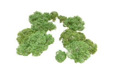 Beyaz arka planda yeşil ağaçlar. 3D görüntüleme. Doğa