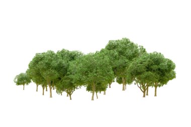 Beyaz arka planda yeşil ağaçlar. 3D görüntüleme. Doğa