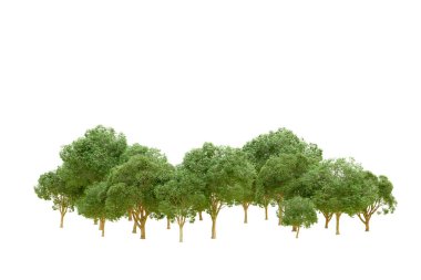 Beyaz arka planda yeşil ağaçlar. 3D görüntüleme. Doğa