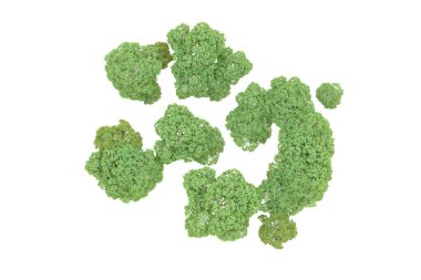 Beyaz arka planda yeşil ağaçlar. 3D görüntüleme. Doğa