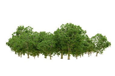 Beyaz arka planda yeşil ağaçlar. 3D görüntüleme. Doğa
