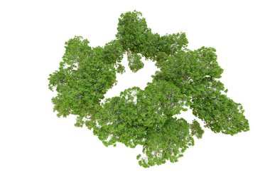 Beyaz arka planda yeşil ağaçlar. 3D görüntüleme. Doğa