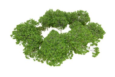 Beyaz arka planda yeşil ağaçlar. 3D görüntüleme. Doğa
