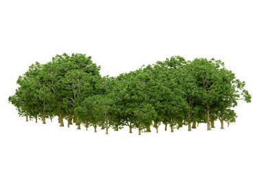 Beyaz arka planda yeşil ağaçlar. 3D görüntüleme. Doğa