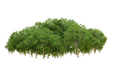 Beyaz arka planda yeşil ağaçlar. 3D görüntüleme. Doğa