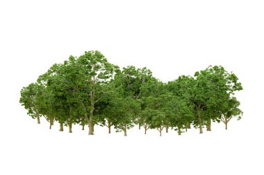Beyaz arka planda yeşil ağaçlar. 3D görüntüleme. Doğa