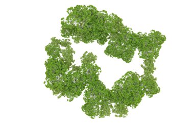 Beyaz arka planda yeşil ağaçlar. 3D görüntüleme. Doğa