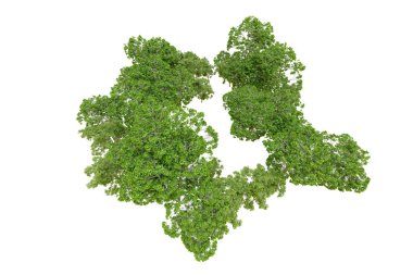 Beyaz arka planda yeşil ağaçlar. 3D görüntüleme. Doğa