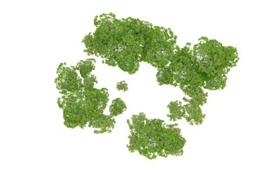 Beyaz arka planda yeşil ağaçlar. 3D görüntüleme. Doğa