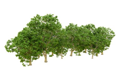 Beyaz arka planda yeşil ağaçlar. 3D görüntüleme. Doğa