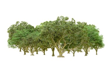 Beyaz arka planda yeşil ağaçlar. 3D görüntüleme. Doğa