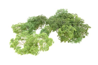 Beyaz arka planda yeşil ağaçlar. 3D görüntüleme. Doğa