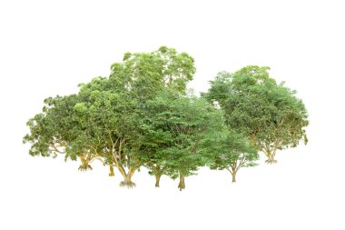 Beyaz arka planda yeşil ağaçlar. 3D görüntüleme. Doğa