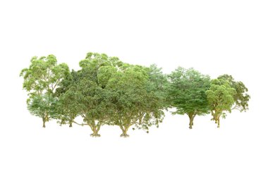 Beyaz arka planda yeşil ağaçlar. 3D görüntüleme. Doğa