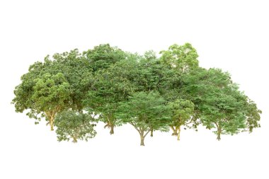 Beyaz arka planda yeşil ağaçlar. 3D görüntüleme. Doğa