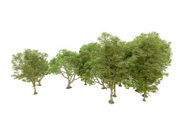 Beyaz arka planda yeşil ağaçlar. 3D görüntüleme. Doğa