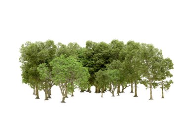 Beyaz arka planda yeşil ağaçlar. 3D görüntüleme. Doğa