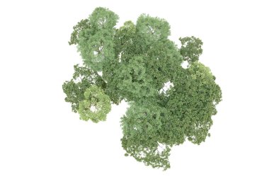 Beyaz arka planda yeşil ağaçlar. 3D görüntüleme. Doğa