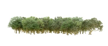 Beyaz arka planda yeşil ağaçlar. 3D görüntüleme. Doğa