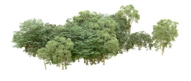 Beyaz arka planda yeşil ağaçlar. 3D görüntüleme. Doğa