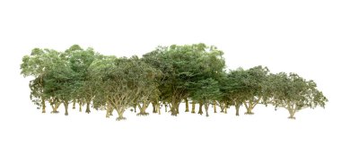 Beyaz arka planda yeşil ağaçlar. 3D görüntüleme. Doğa