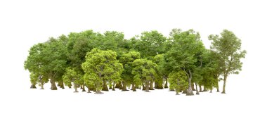 Beyaz arka planda yeşil ağaçlar. 3D görüntüleme. Doğa