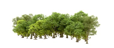 Beyaz arka planda yeşil ağaçlar. 3D görüntüleme. Doğa