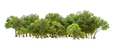 Beyaz arka planda yeşil ağaçlar. 3D görüntüleme. Doğa