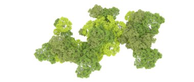 Beyaz arka planda yeşil ağaçlar. 3D görüntüleme. Doğa
