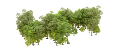 Beyaz arka planda yeşil ağaçlar. 3D görüntüleme. Doğa                           